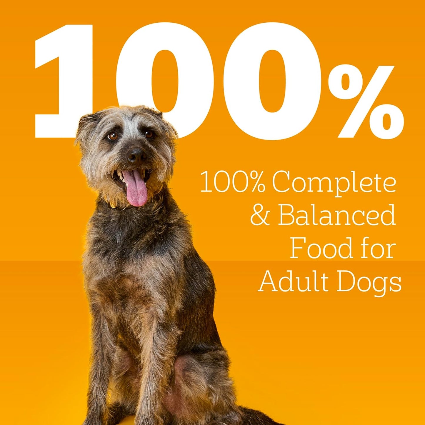 Pedigree Choice Cuts In Gravy Adult Canned Wet Dog Food With Beef Multipack, 13.2 oz. Cans (12 Count, Pack of 1)