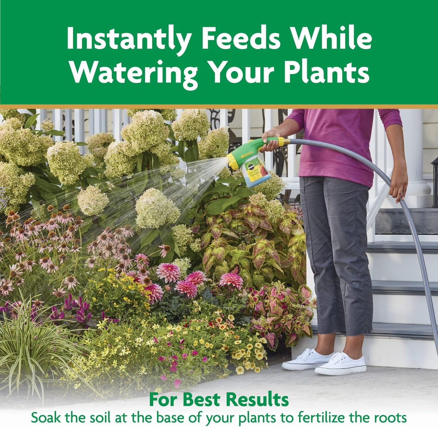 Miracle-Gro Water Soluble All Purpose Plant Food, Fertilizer for Indoor or Outdoor Flowers, Vegetables or Trees, 3 lbs.