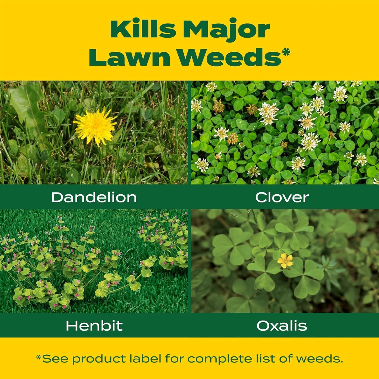Scotts Liquid Turf Builder with Plus 2 Weed Control, Liquid Weed Killer and Fertilizer, 32 fl. oz.